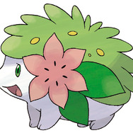 「シェイミ」本日より配布開始、来年は「辰年」にちなんだ色違いポケモンのタマゴをプレゼント