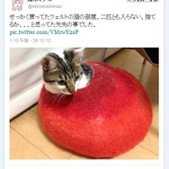 清水ミチコさんのツイート