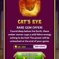 筆者大絶賛のネコ