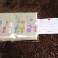 中にはトーとバッグと案内状が