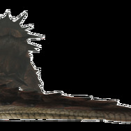 ラオシャンロン