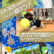 グリー、子犬育成ゲーム『ともだちドッグス』iOS版をリリース ― 開発はハ・ン・ド