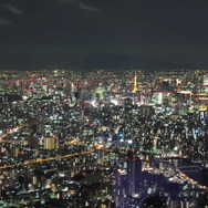 東京タワーもミニチュア模型のようです