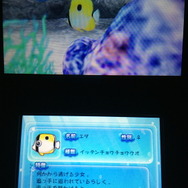 公式ジャンルは、「熱帯魚見守りシミュレーションゲーム」になります。