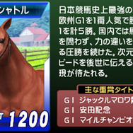競走馬は実名で登場。トレカ化されてわかりやすい