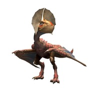 イャンクック