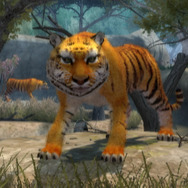 ズー・ホスピタル