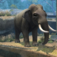 ズー・ホスピタル