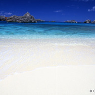 アドベンチャー賞:船で行く小笠原諸島六日間の旅「ドラゴントライアングル 調査旅行」