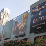 あれ、昨日より枚数が増えてます