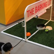 【GDC 2013】ジンガ本社に行って、GDCパーティに参加してみた