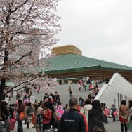 「バサラ祭2013 ~春の陣~」