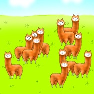 ここゎ平和なアルパカの村…