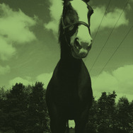 【コラム: ENVELOPESのマリオカート大作戦！】EPISODE 1 : 幕開け