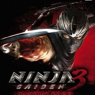 Xbox360版『NINJA GAIDEN 3:Razor's Edge』パッケージ