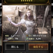 王国軍魔術師 テレジア