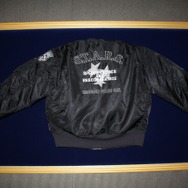 「S.T.A.R.S.」ジャケットも必見