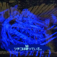 「異形」には気づかれていない模様。チェックを入れた場所でほぼ間違いなし