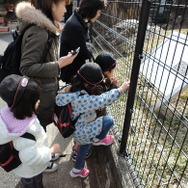 「京都太秦ゲームフェスタ -仮面ライダーウィザード」4ヶ月間で約3000名が参加