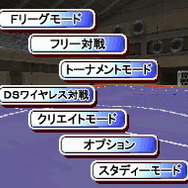 日本フットサルリーグ公認・みんなのDSフットサル