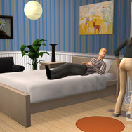 ザ・シムズ2 IKEAホームパック