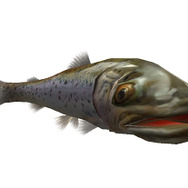 北の巨大魚「北海道イトウ」を釣り上げろ！『釣りパラダイス！』