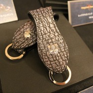 『ドラゴンズドグマ:ダークアリズン』発表会の模様をフォトレポートでお届け