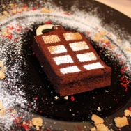 『ドラゴンズドグマ:ダークアリズン』発表会の模様をフォトレポートでお届け