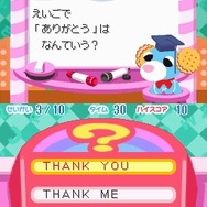 お茶犬の部屋DS3