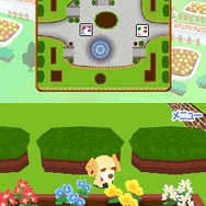 お茶犬の部屋DS3