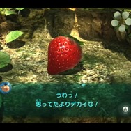 大きなフルーツ発見！　これを持ち帰ると…　→