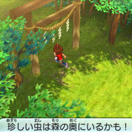 虫取りのために神社の裏の森の奥へ