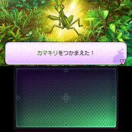 妖怪以外に昆虫などを発見することも