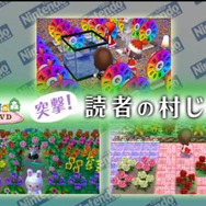 話題の「アイカ村」など、すごい村を映像で収録『とびだせ どうぶつの森』村じまんDVDがニンドリ付録に