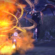 ヒノマガトリ 火柱