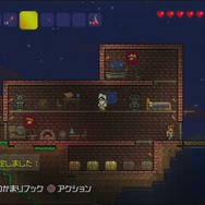 3階建て+地下室の家が完成!お蔭で住人も増えました