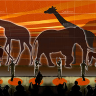 カメラ認識センサーを用いて楽しく学ぶことができる「動物 等身大百科」