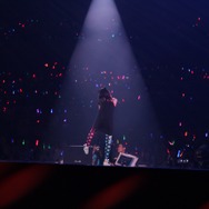 ファンが振るサインライトにも手を振って応えていた