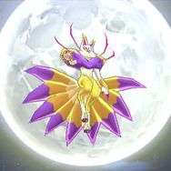 「キュウビ」の神々しい姿