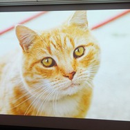 大前弘樹氏が語るPlayStation MobileとUnityの関係・・・SIG-Indie第10回勉強会