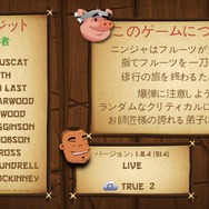 【あぴゅレビュ！】第21回 CMでも度々見かけるカジュアルゲーム『フルーツ ニンジャ』プレイした？