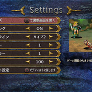 画面設定が特に細かなセッティング