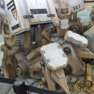 足部。前面にスパイクが確認可能