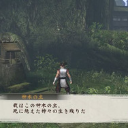 その他の施設：神木