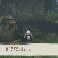 その他の施設：神木