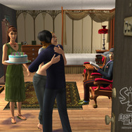 ザ・シムズ2 アパートライフ