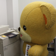 スタートボタン押せないの