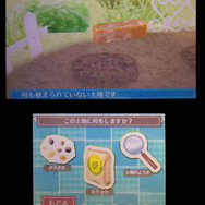 お庭でさまざまな植物を育てられます