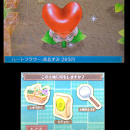 育った植物は収穫してお金に