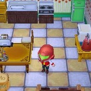 北米版『とびだせ どうぶつの森』に配信されたレジー社長の部屋